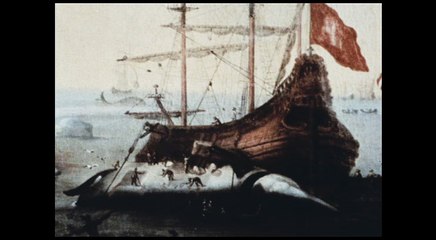Le Cinéma de Mario Ruspoli - Vive la baleine - Extrait