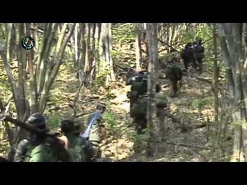 The long walk to recovery