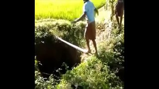 Indian Funny Videos Compilation 2015    Indian Whatsapp videos December 2015