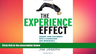FREE PDF  The Experience Effect: Engage Your Customers with a Consistent and Memorable Brand