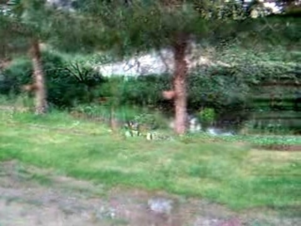 Video maison