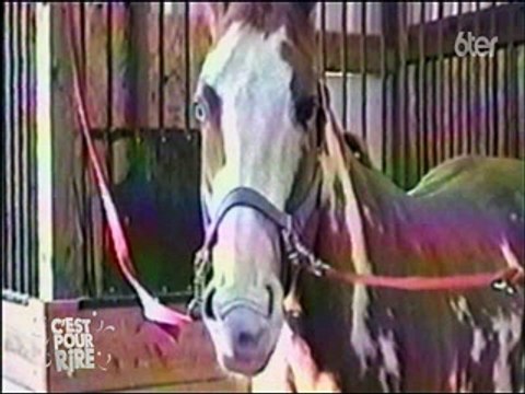 6ter - Norbert et Jean le défi (Réaliser un menu 3 étoiles uniquement avec des restes qui finissent habituellement à la poubelle ) - 20-08-2016 20h30 15m (19143)_xvid