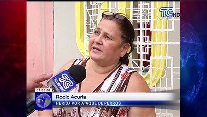 Niños y adultos heridos por ataque de dos perros de raza pitbull