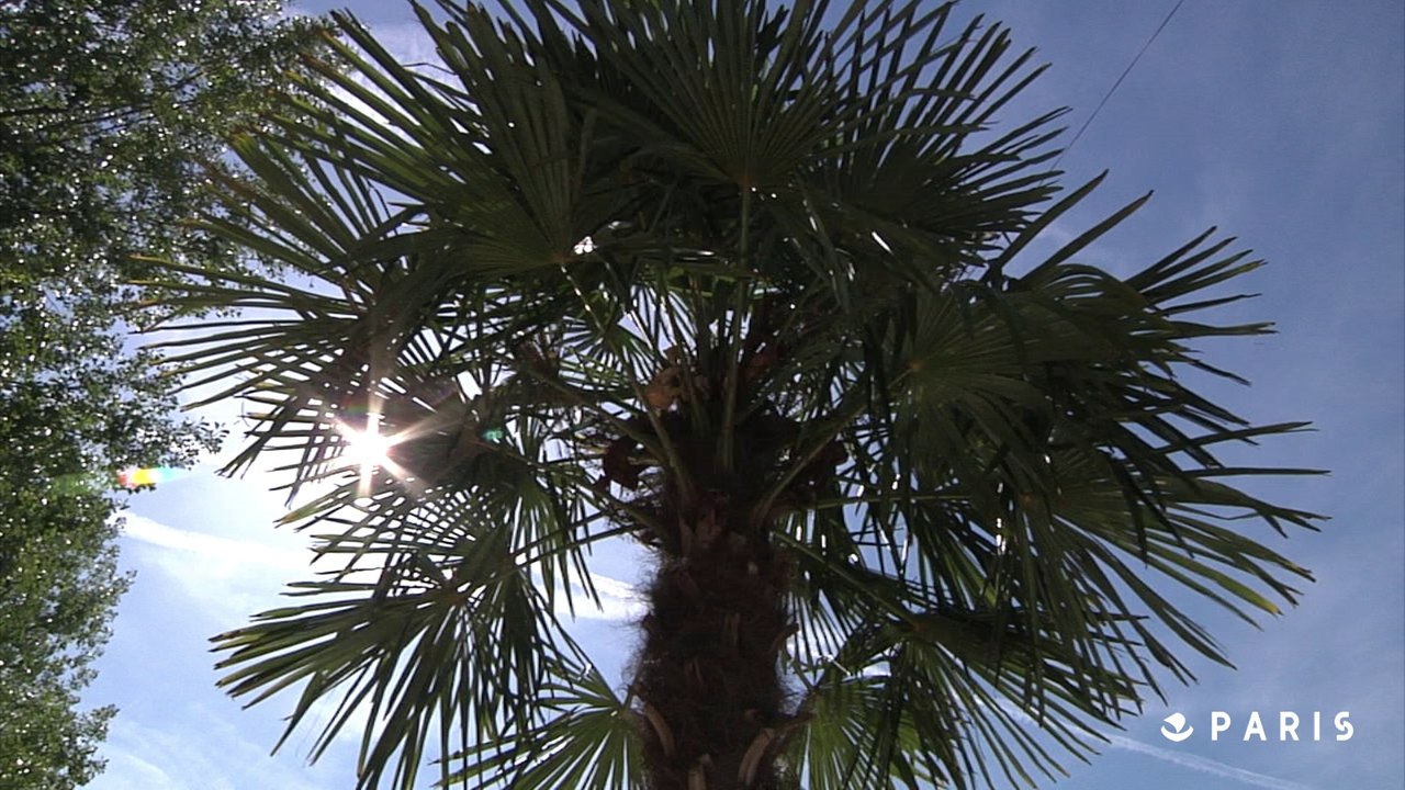 Paris Plages sur la voie Georges Pompidou, c'est jusqu'au 4 septembre !