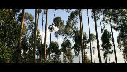 Vidéo. Gaël Faye - Petit Pays