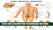 [PDF] The Spinal Nerves 3D Raised Relief Chart Full Online