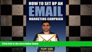 FREE DOWNLOAD  How to Set Up an Email Marketing Campaign: Step-by-Step Illustrated Guide  BOOK
