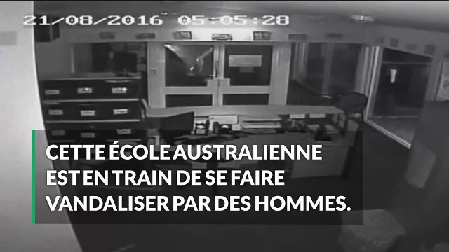 En Australie, on vandalise les écoles... avec des crocodiles