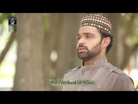 Asi Boha Mol Na Chadan | Hafiz Zeeshan Ilahi Sayalvi | Naat 2015 | Ramadan Kareem