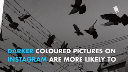 Your Instagram feed can tell if you’re depressed: study