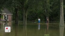 Alligators Escape Captivity In Wake Of Louisiana Floods