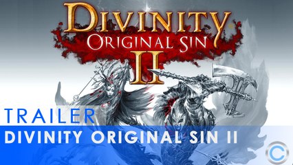 Divinity : Original Sin 2 - Annonce de l'early access