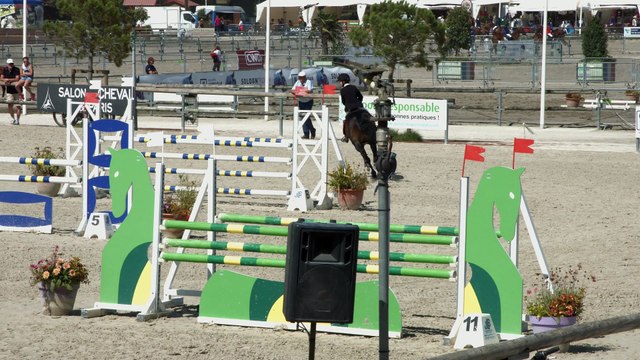 Addiction Alias montée par Pierre-Louis Denis (11 ans) Finale des 6 ans D 2ème manche Sologn Pony 2016