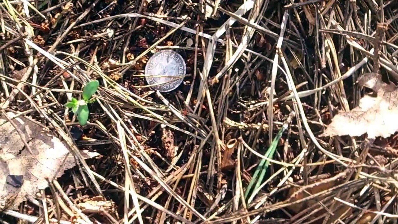 PETITE MONNAIE DE 20 REICHMARK EN ARGENT