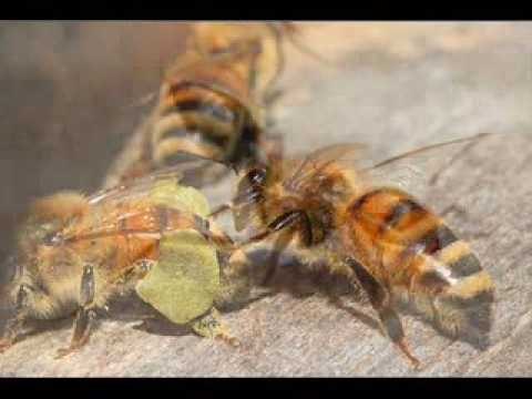 Punture di insetti, strade che suonano e cerotti di cozze. Torna Estate di Focus
