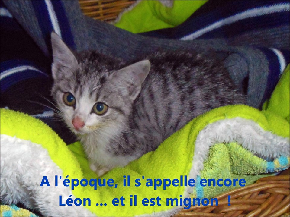 Léonie a 1 an