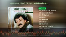 Yolcu (Müslüm Gürses) Official Audio #yolcu #müslümgürses