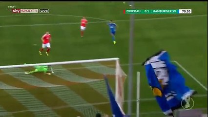 All Goals - Zwickau 0-1 Hamburger    DFB Pokal 22.08.2016