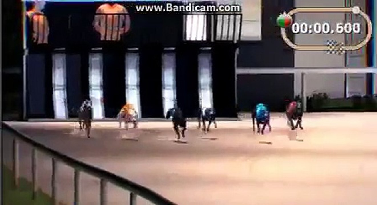 Köpek yarışı-Dog Race