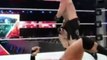 WWE Summerslam 2016 Brock Lesnar Vs Randy Orton Highlights
