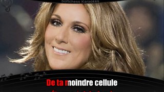 Céline Dion - Le miracle (karaoké réalisé par Softchess)