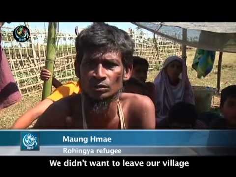 Refugees flood camps