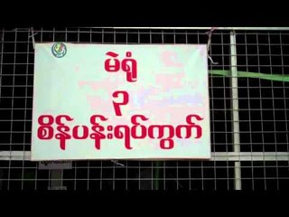 Voting in Mahaaungmye