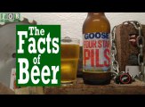 Facts of Beer - Four Star Pils
