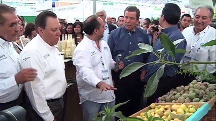 Las Garras de la Semana