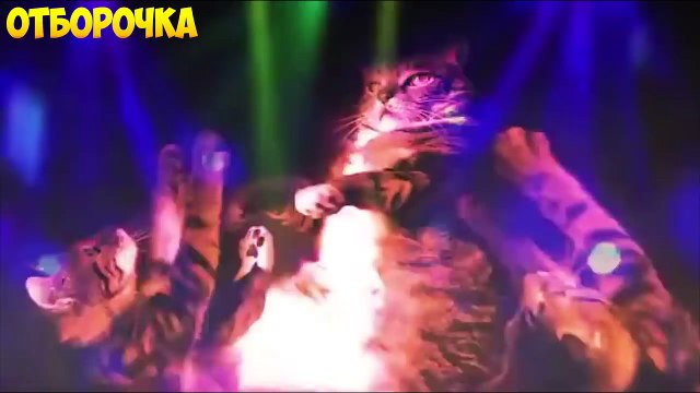 ЛУЧШИЕ ПРИКОЛЫ 2016 АВГУСТ #259