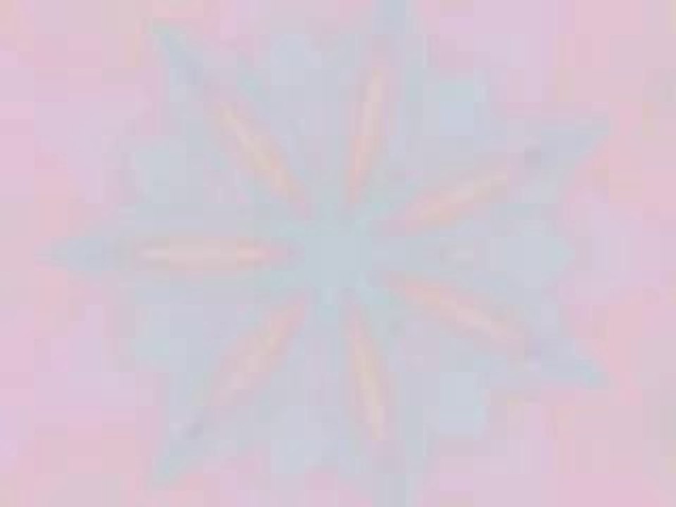 Vibravoid    Incense And Peppermints (by Strawberry Alarm Clock) psychedelic trip