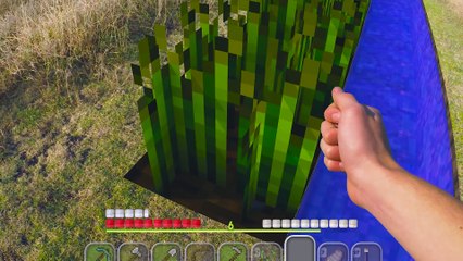 Minecraft In Real Life   Survival Addiction
