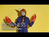 A Lighthearted Look at Lobster