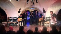 Flamenco Barcelona - Pastora Galván @TablaoCordobes (III) 10-3-16