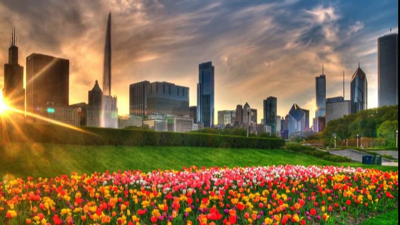 Marimba Maderas De Mi Pueblo vol 6 video 1 video Dailymotion