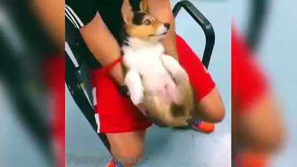 No Te Rias Reto - Te reto a no reirte!