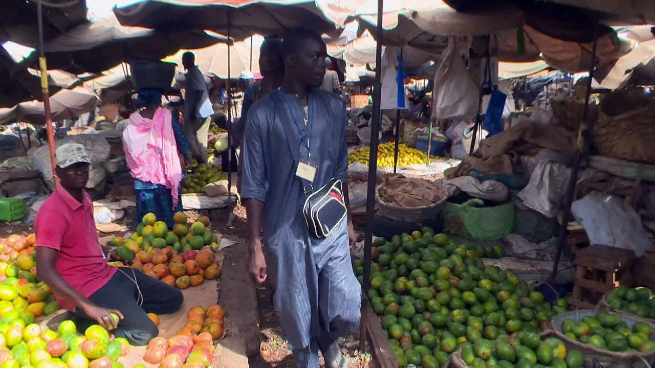 Sénégal: début du retrait des rues des enfants mendiants