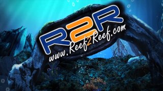 Reef2Reef TV Episode 25: Aquascaping
