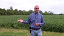 Crop Scouting with SMS™ Mobile: Growers' Perspectives - 2010-15