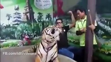 Challenge You can't stop Laughing very funny Video Best video I watch ever