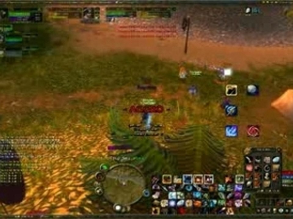 Hunt lvl 40 vs Rogue lvl 46