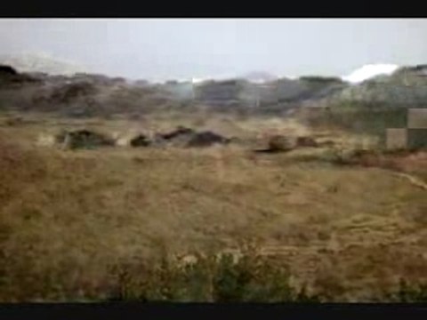 Shaka Zulu - 02 (Suite)