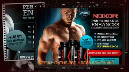 Noxor Platinum Edition