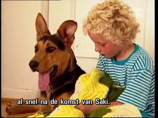 Chaque jour, ce chien quittait sa maison pour aller quelque part...