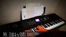Mr. Zebra - TORI AMOS▲ [amodomio piano cover]