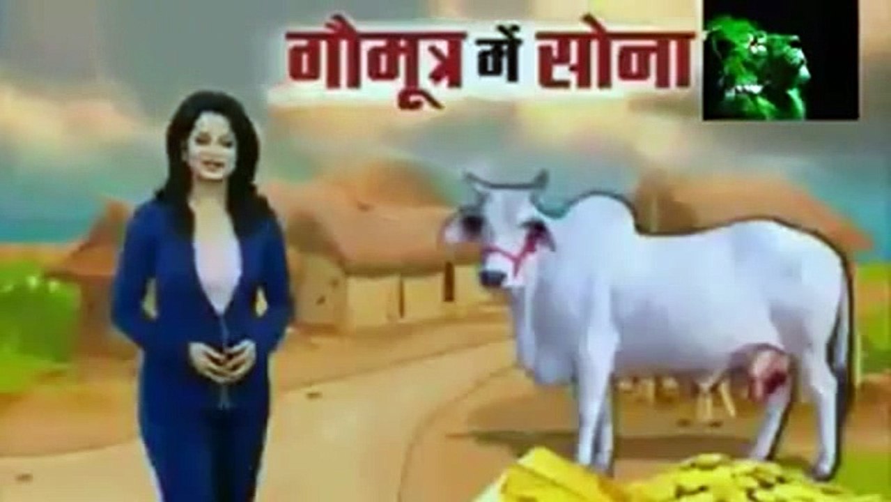 "Gold Can Be Extracted From Cow's Piss" - Indian Media Claims