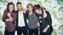 One Direction's Liam Payne is Going Solo