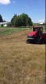 Spring seeding peas into 10 year old Sod/Pasture