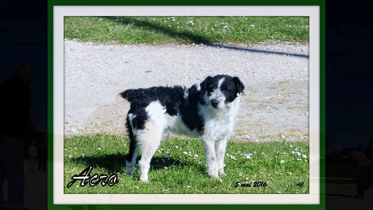 Concours club vu par Alain CAILLOCE