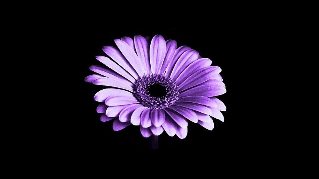 ◇シークレット・ラヴ ～ 石黒ケイ